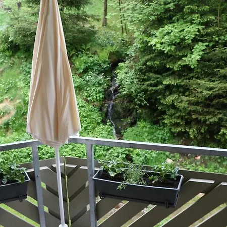 Daire Fewo 10 - Residenz Schauinsland, Todtnauberg, Bei Feldberg *