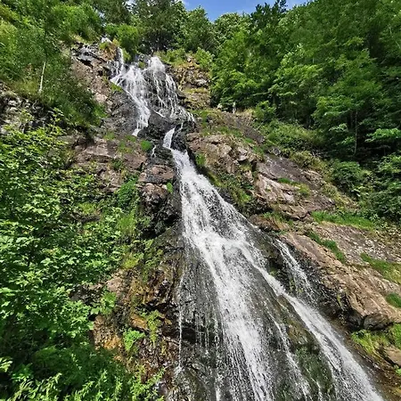 Daire Fewo 10 - Residenz Schauinsland, Todtnauberg, Bei Feldberg Todtnauberg